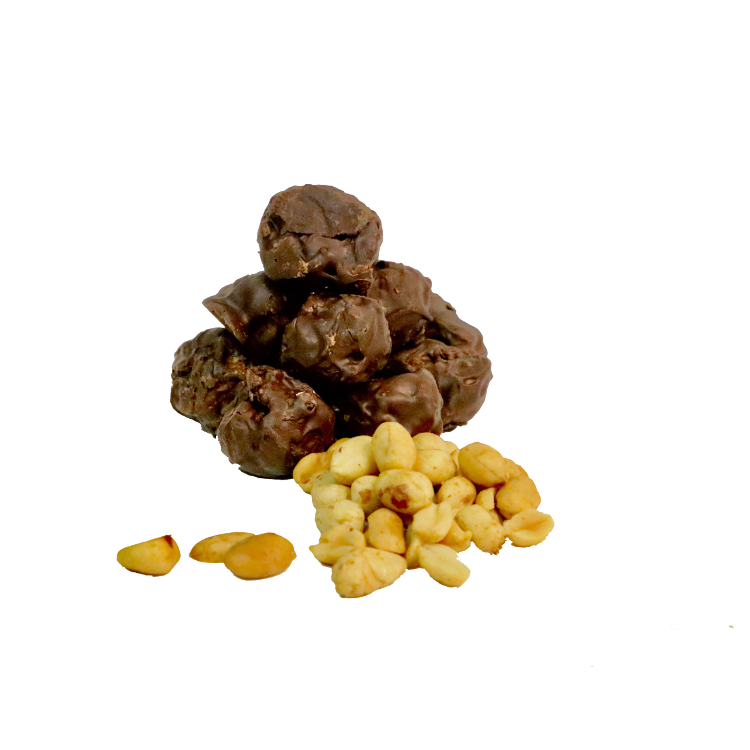 Peanut butter truffle