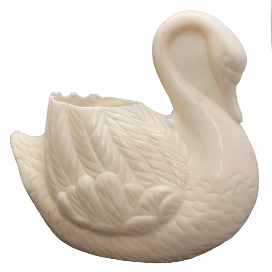 Chocolate Crown Lynn Swan