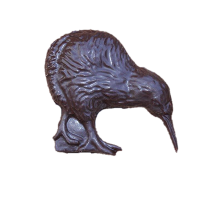 Dark Chocolate Kiwi