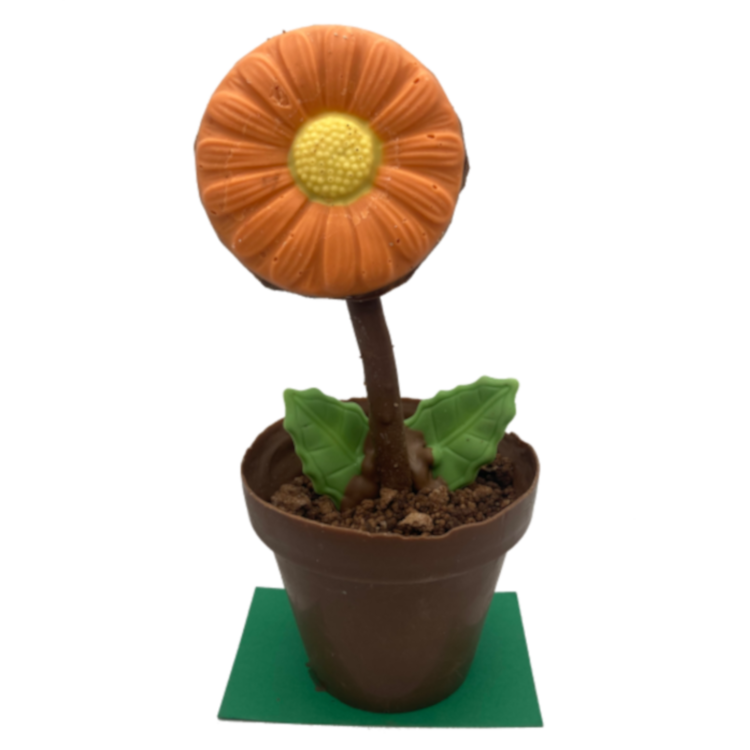 Chocolate Flower Pot